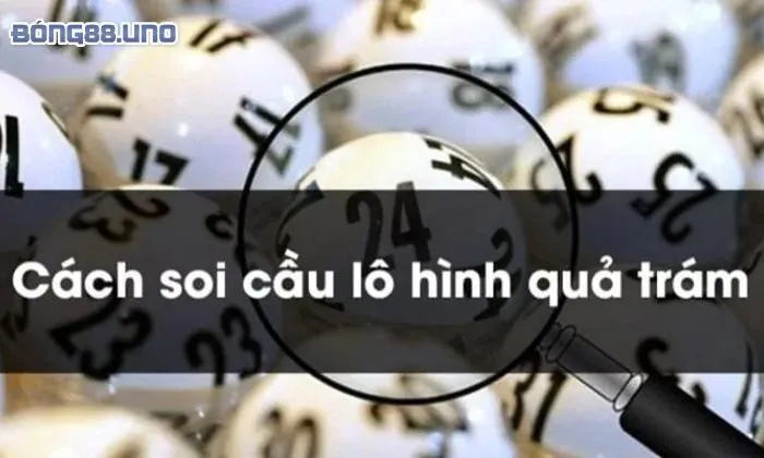 Cách soi kèo quả trám