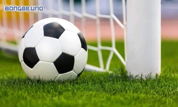 Tham khảo kinh nghiệm từ những người chơi lâu năm